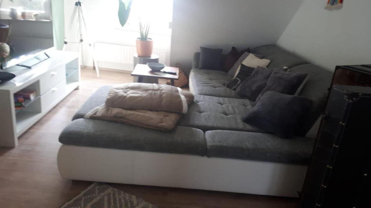 Fewo 1 Thale Exteriör bild